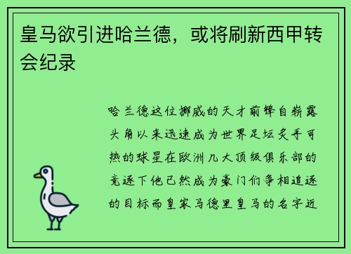 皇马欲引进哈兰德，或将刷新西甲转会纪录